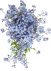 bnb9-27_10_1778498701.jpg bnb9-27_10_1778498701.jpg