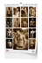bne6-26_set_1748870228.png