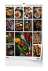 bng11-26_set_1748872918.png