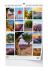 bng14-26_set_1748873017.png