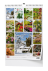 bng8-26_set_1748872870.png