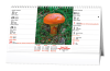 bsh2-27_vn_1778487947.png bsh2-27_vn_1778487947.png