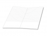 cd423vn_1749464123.png