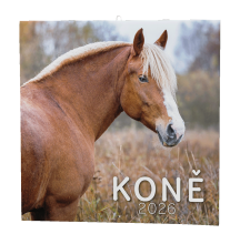 Poznámkový  Koně