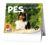 IDEÁL - Pes, věrný přítel
