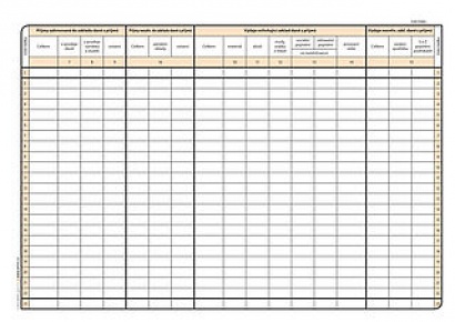 Daňová evidence pro neplátce DPH, A4, 32 listů