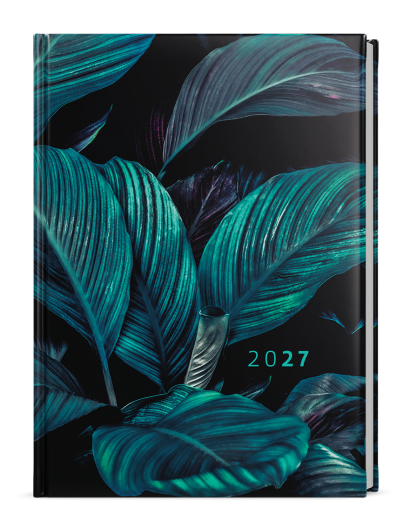Goliáš Lamino Tropic