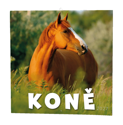 Nástěnný kalendář poznámkový Koně Nástěnný kalendář poznámkový Koně