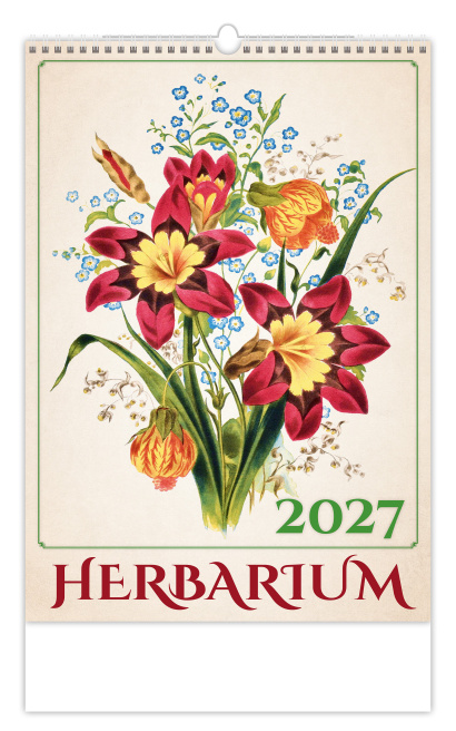 Herbarium 31,5 x 45 cm